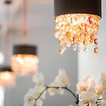 Catalpa 3*