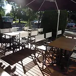 Catalpa 3*