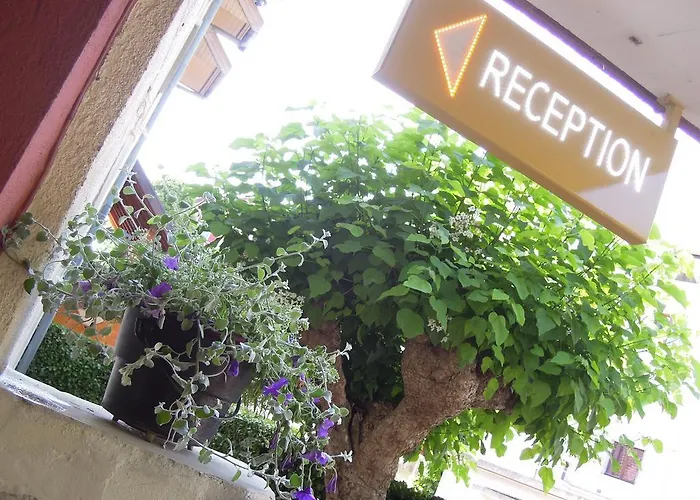 Catalpa 3*
