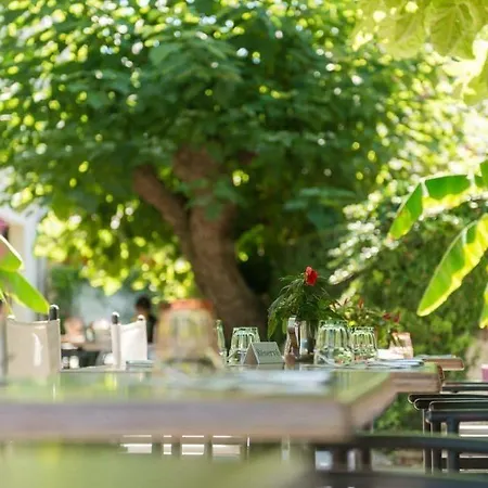 Szálloda Catalpa 3*
