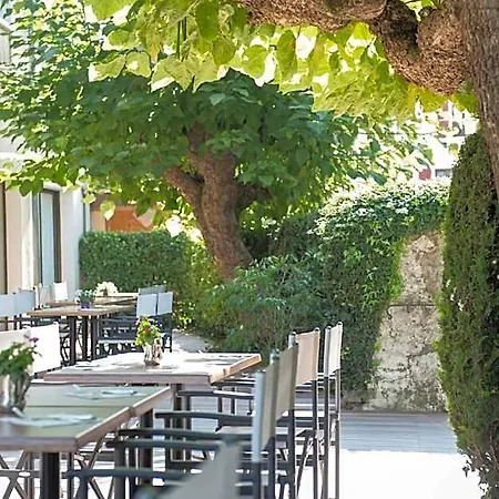 Catalpa 3*