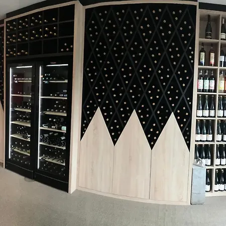 酒店 堪塔帕酒店 阿讷西